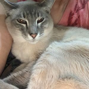 Meet your Posher, Norma